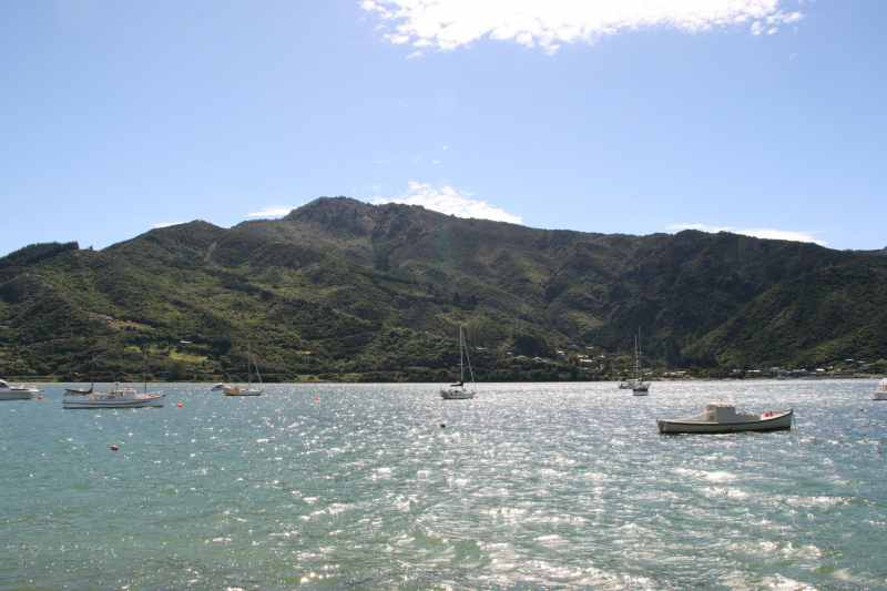 Nieuw-Zeeland 2011 - 0942